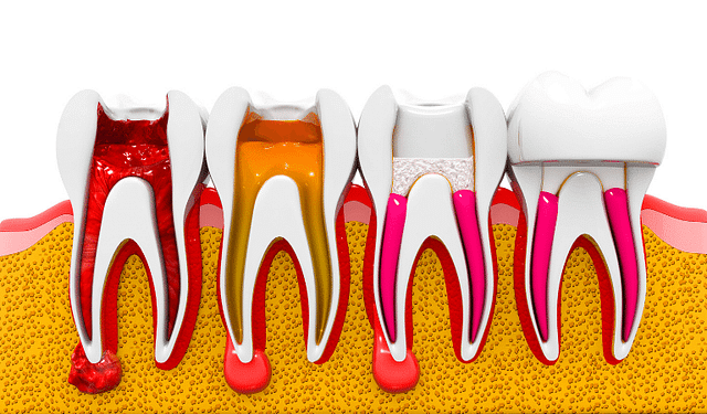 Professional Dental & Orthodontics - Diseno sin titulo 65